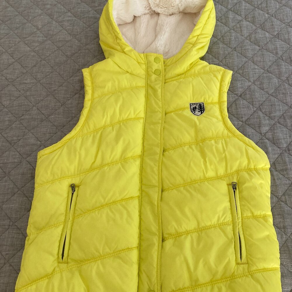 American Eagle Outfitters Winter Vest with plaid lining and faux fur hood